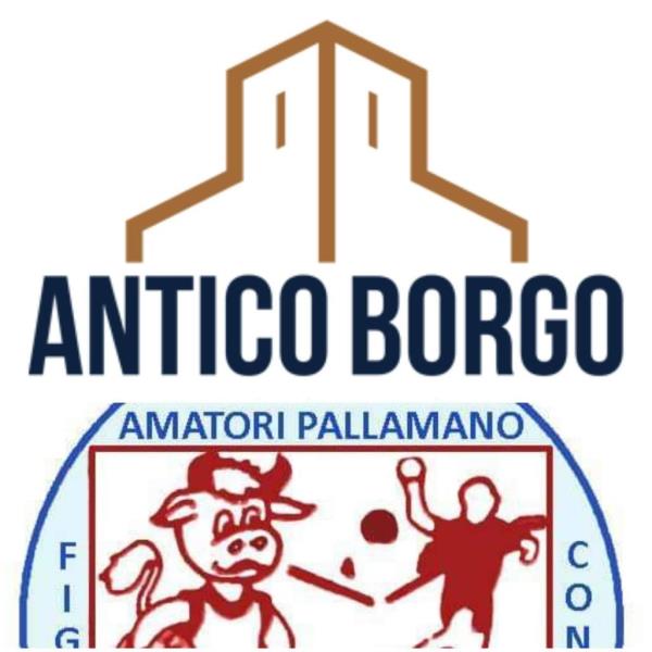 Pallamano Seri B Maschile: l’Ap Terranova antico borgo si prepara al via della stagione 2019/2020